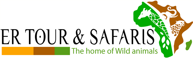 ER Tour & Safaris