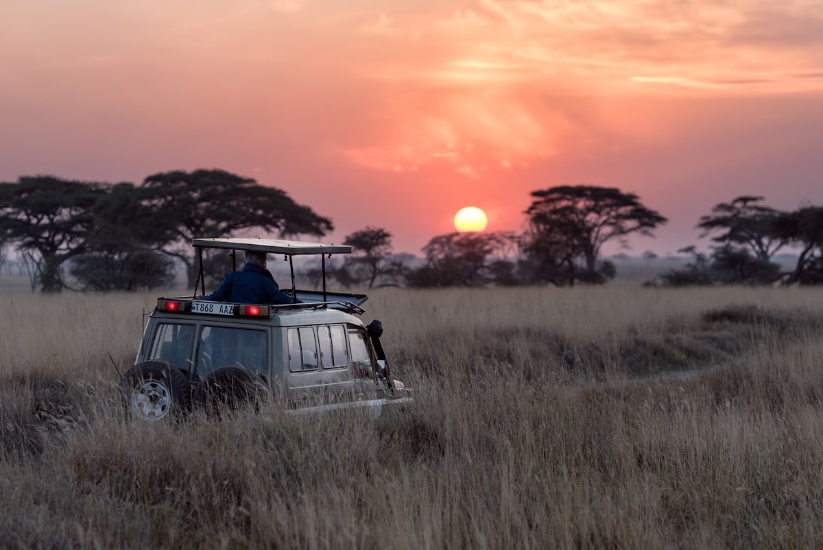 WildGaze Safaris website preview