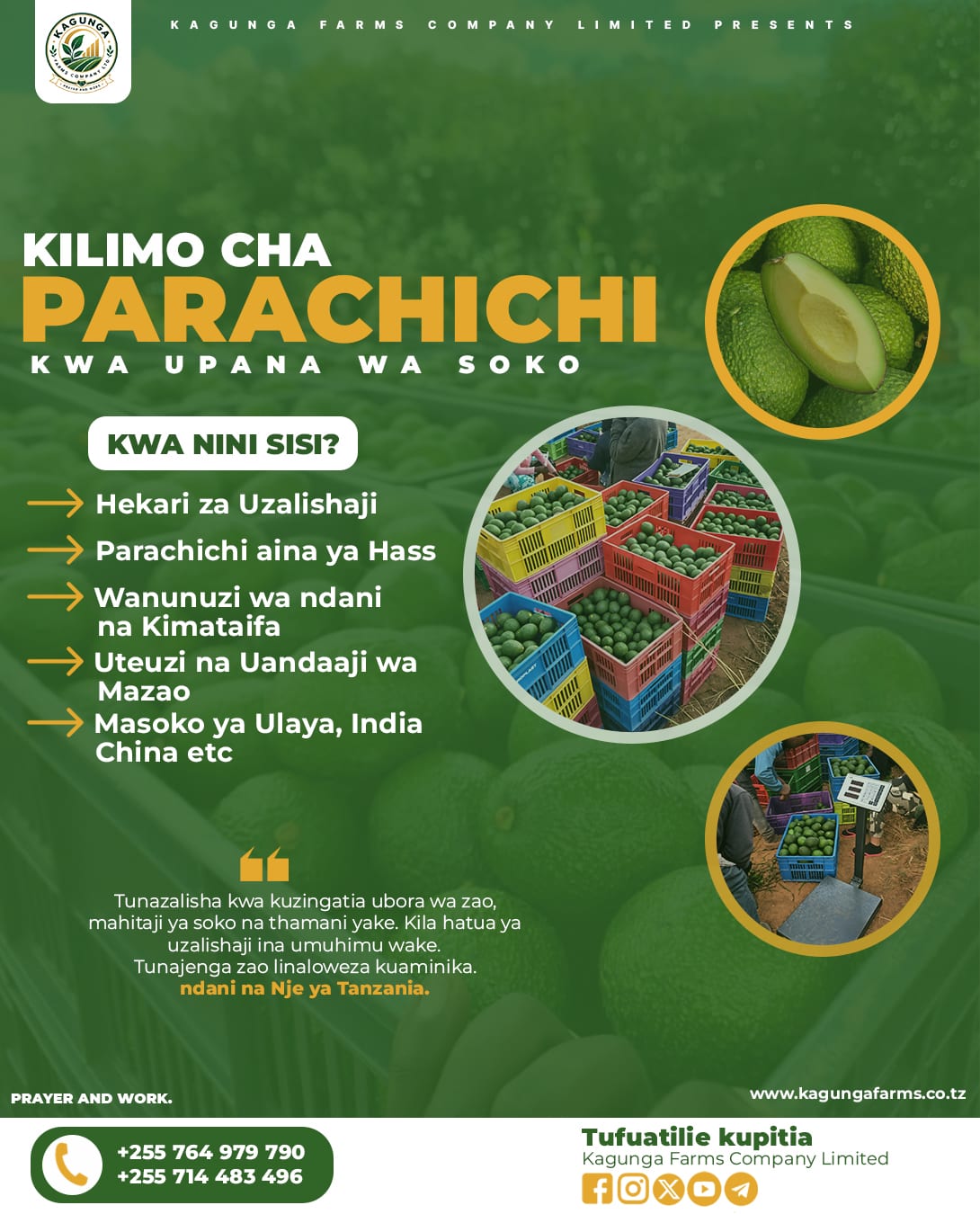 Kagunga Poster 2 – Social Media